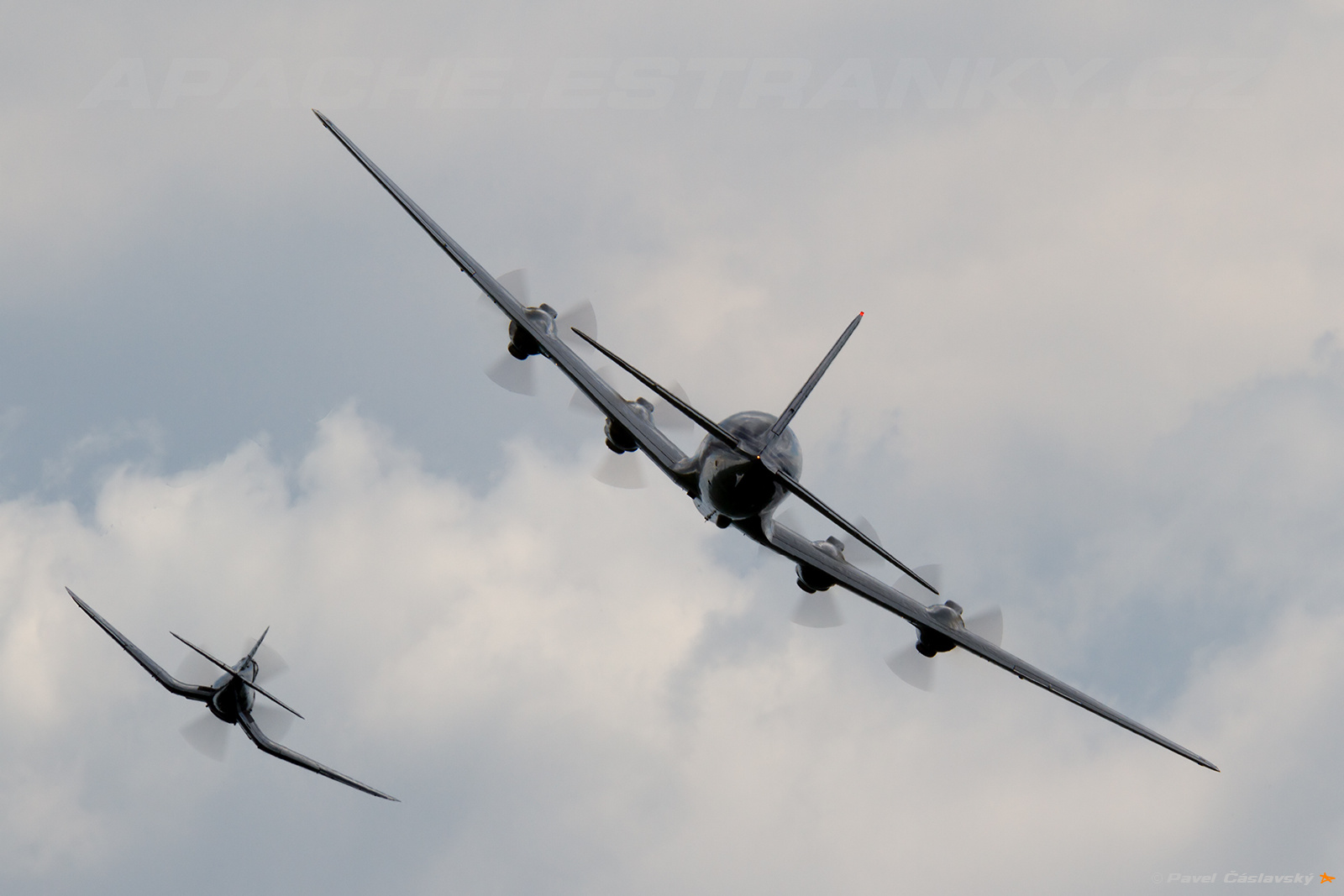 Red Bull (The Flying Bulls) | OE-LDM